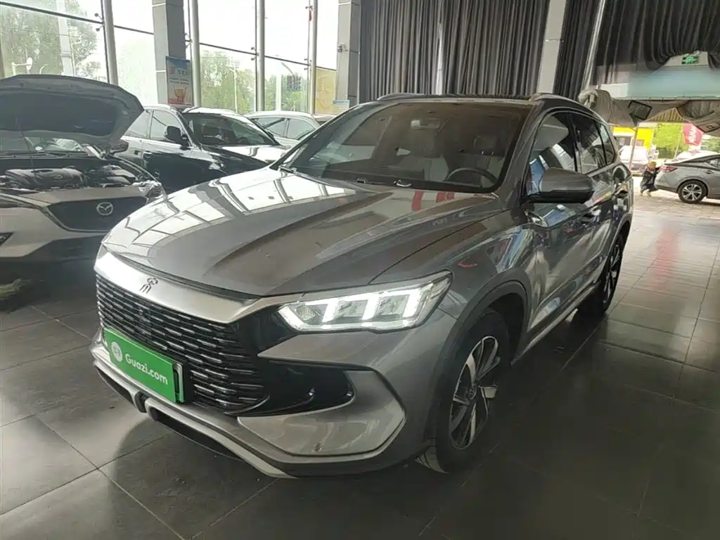 BYD Song Pro New Energy 2024 Glory Edition DM-i 71KM Leading фото 2