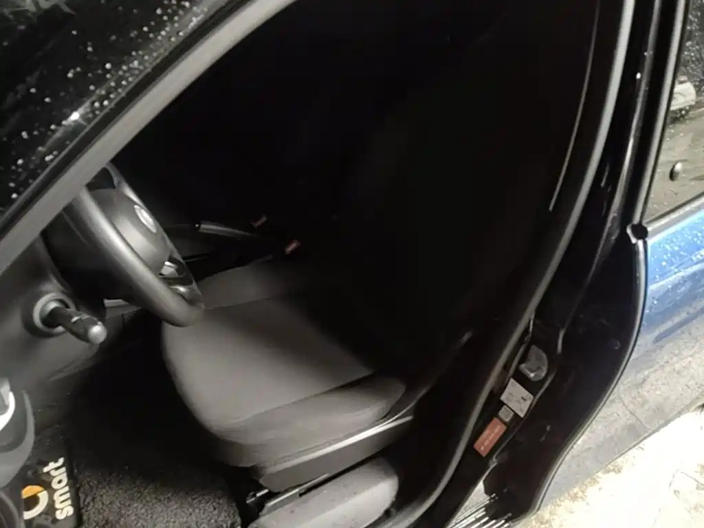 smart forfour 2018 2018 1.0L 52kW Agile Edition