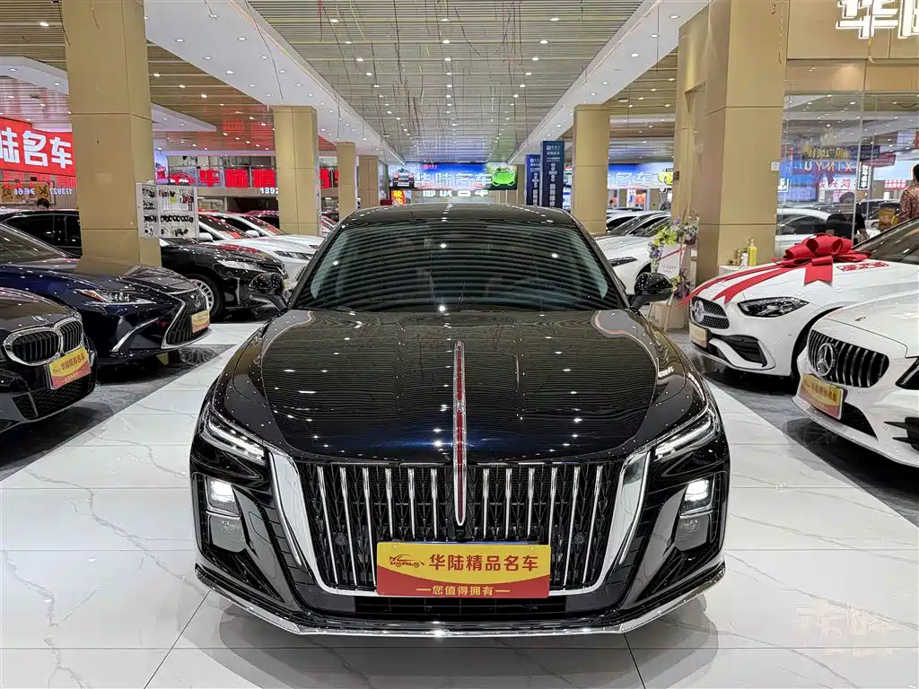 Hongqi H5 2025 2.0T Automatic Flag Celebration 500,000 Units Anniversary Edition фото 2