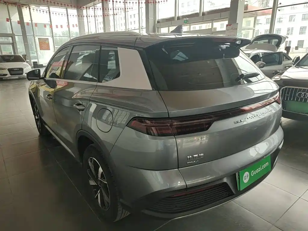 BYD Song Pro New Energy 2024 Glory Edition DM-i 71KM Leading фото 5