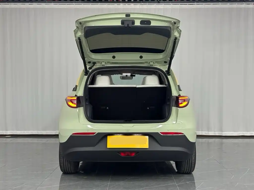 GEELY GALAXY STAR WISH