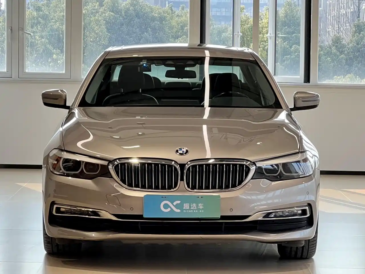 BMW 5 Series New Energy 2018 530Le Luxury Package фото 2