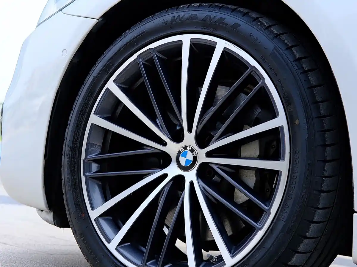 BMW 5 Series 2020 530Li Leading M Sport Package фото 11