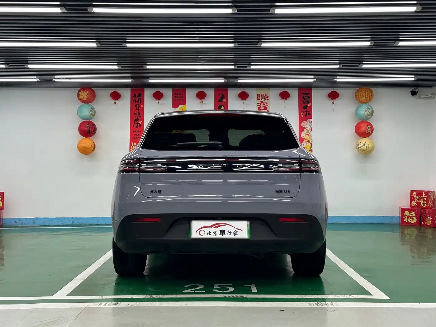 AITO Wenjie AITO M5 2024 Extended Range Max RS AWD Advanced Smart Driving Edition фото 6