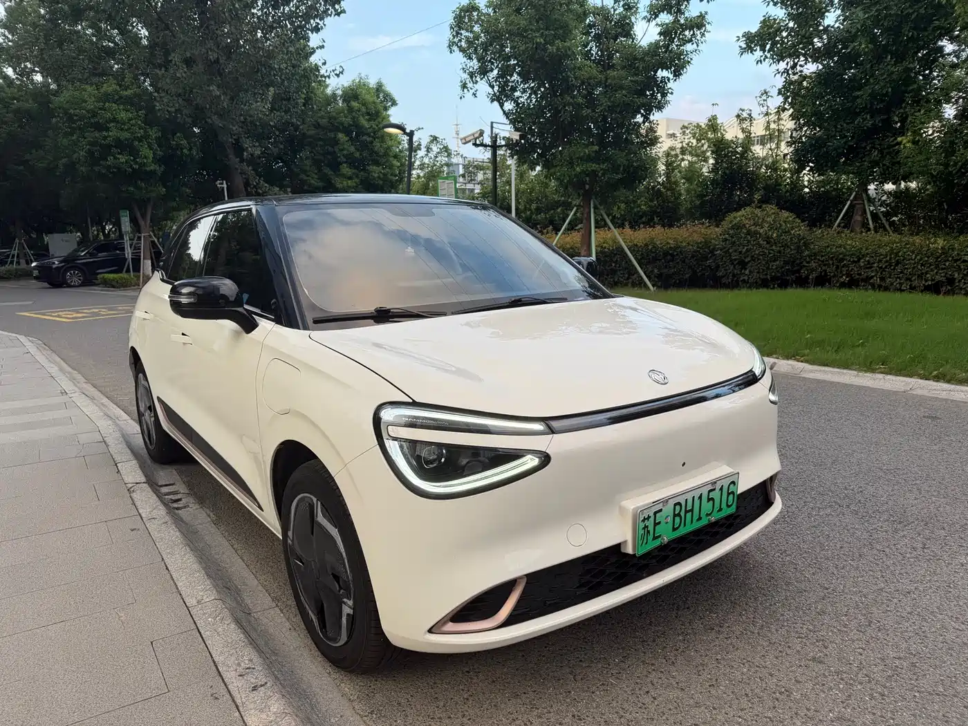2025 Dongfeng Yipai Nano 01