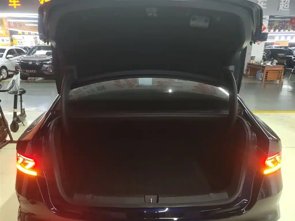 BYD Qin PLUS 2024 Glory Edition DM-i 55KM Leading фото 19