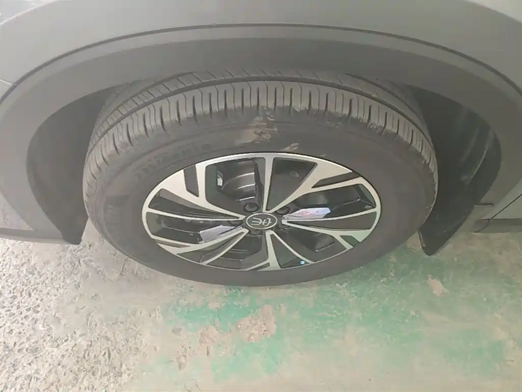 BYD Song Pro New Energy 2026 DM-i 133KM Progressive фото 23