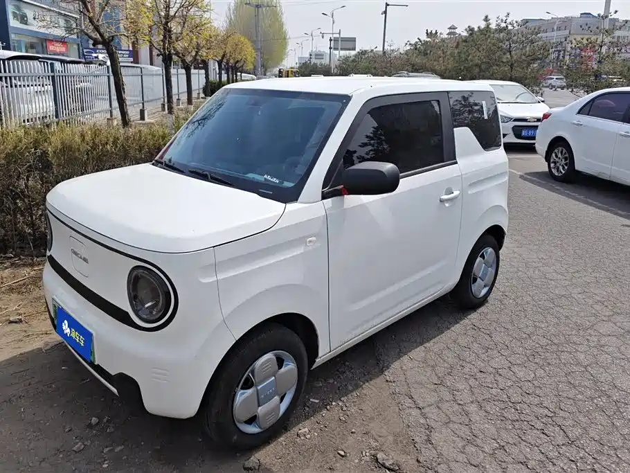 GEELY GALAXY PANDA
