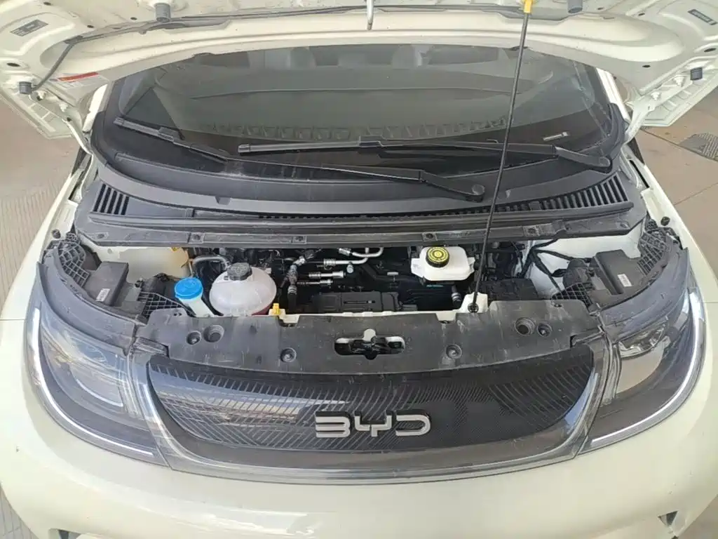 BYD Dolphin 2026 2025 420km Freedom Edition