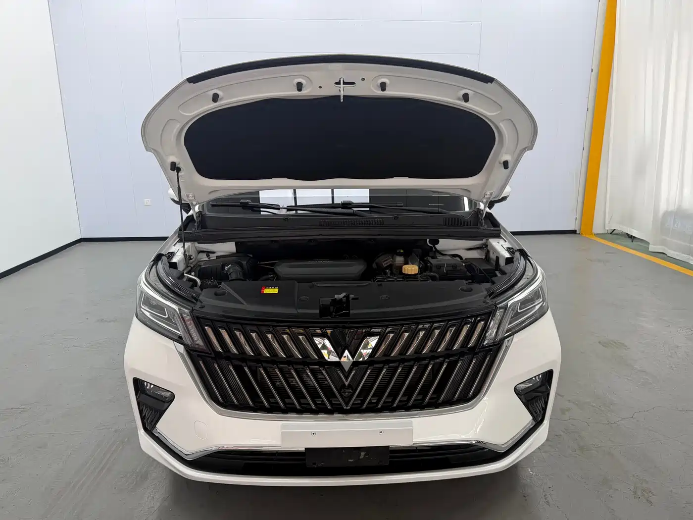 Wuling Motors Wuling Jiachen 2022 2022 1.5T CVT Exclusive Flagship Model