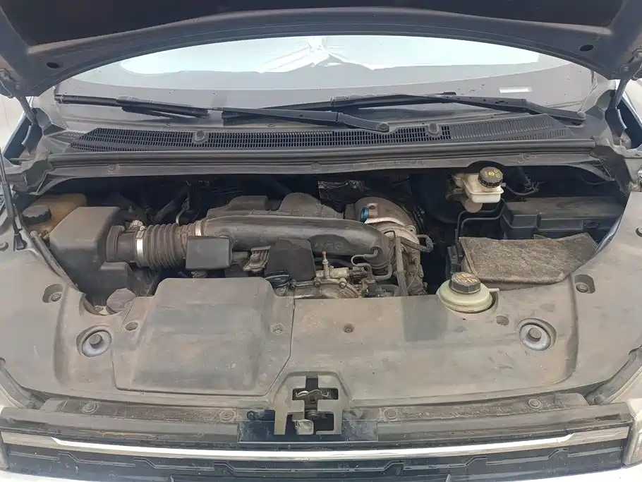 SAIC MAXUS CHASE G20