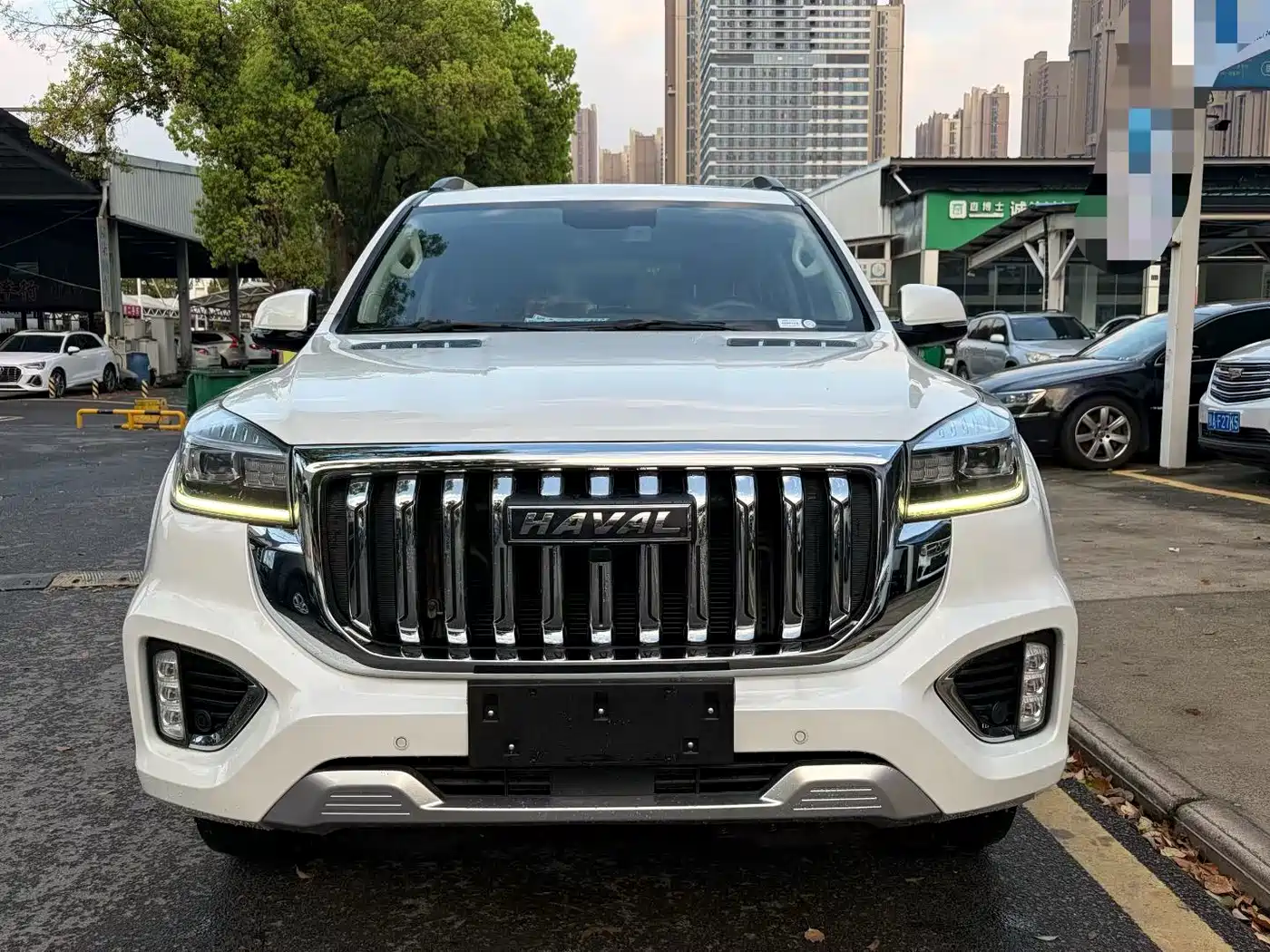 HAVAL H9