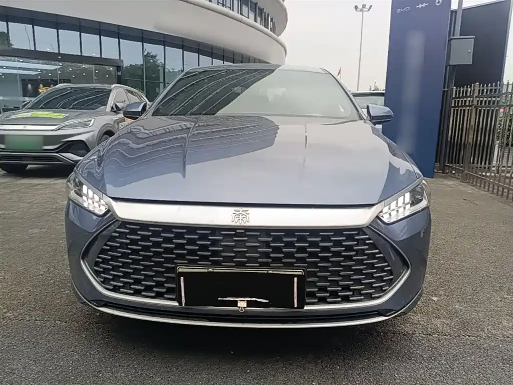 BYD Qin PLUS 2024 Glory Edition DM-i 55KM Leading фото 3