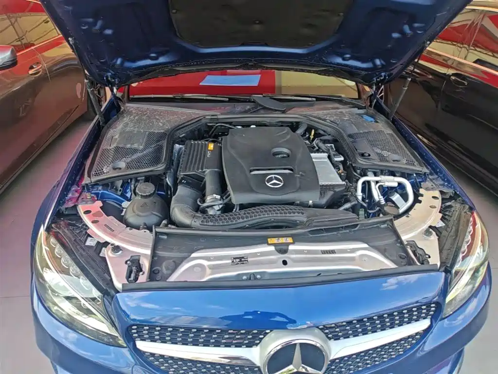 Mercedes-Benz C-Class 2018 C 200 L Sport Achievement Special Edition фото 20