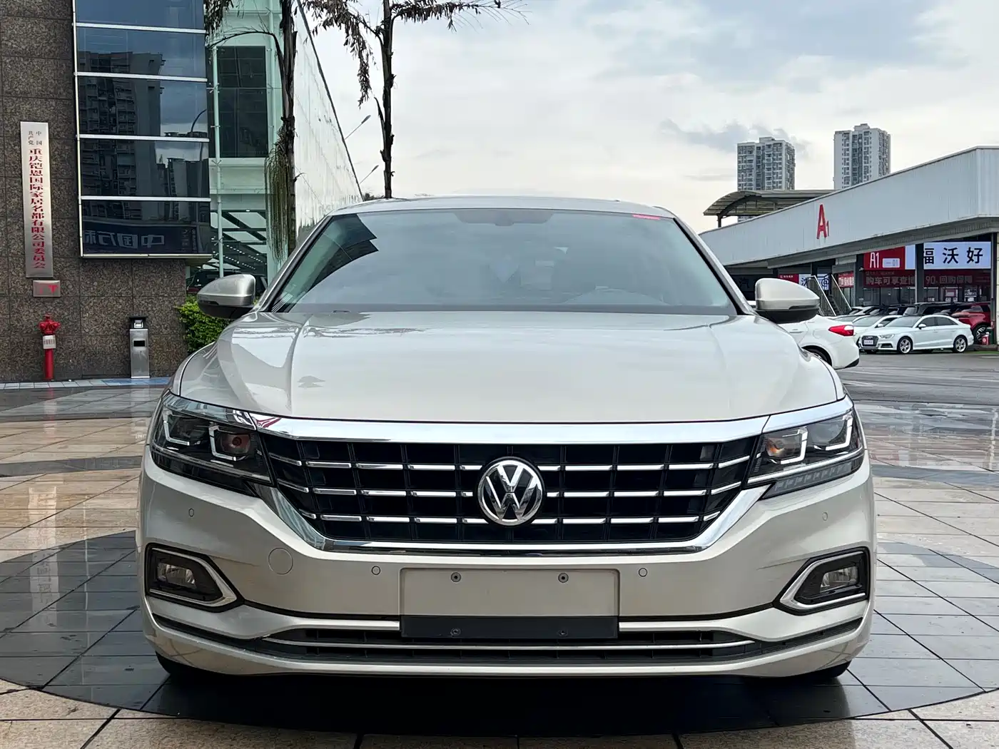 Volkswagen Passat 2019 330TSI Elite Version China VI фото 2