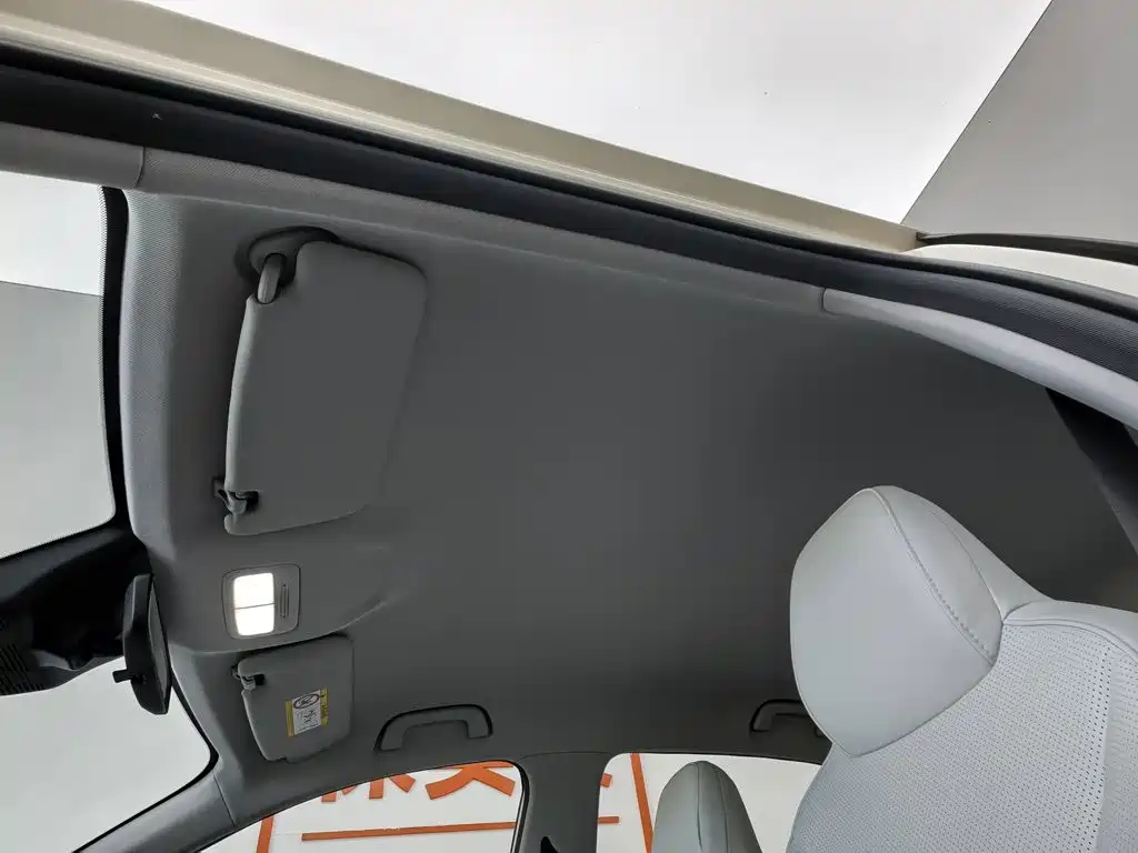 Geely Galaxy Starry Wish 2026 2026 Edition 310km Youth Version