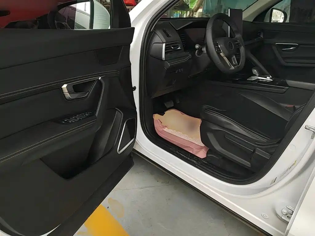 BYD Song Pro 2019 1.5T Automatic Luxury фото 16