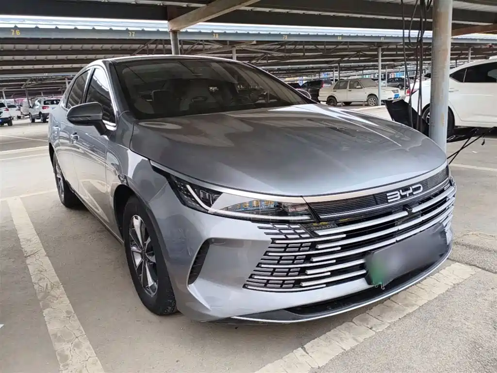 BYD Destroyer 05 2024 Glory Edition DM-i 55KM Luxury фото 4