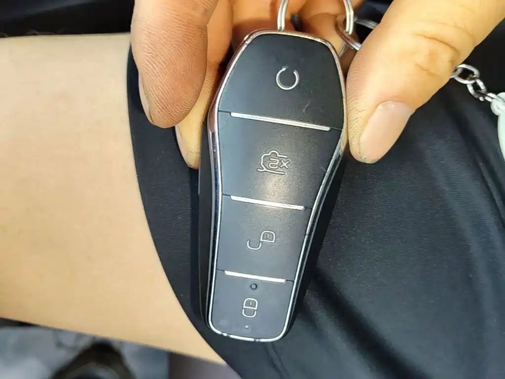 BYD e2 2022 2021 Luxury Edition