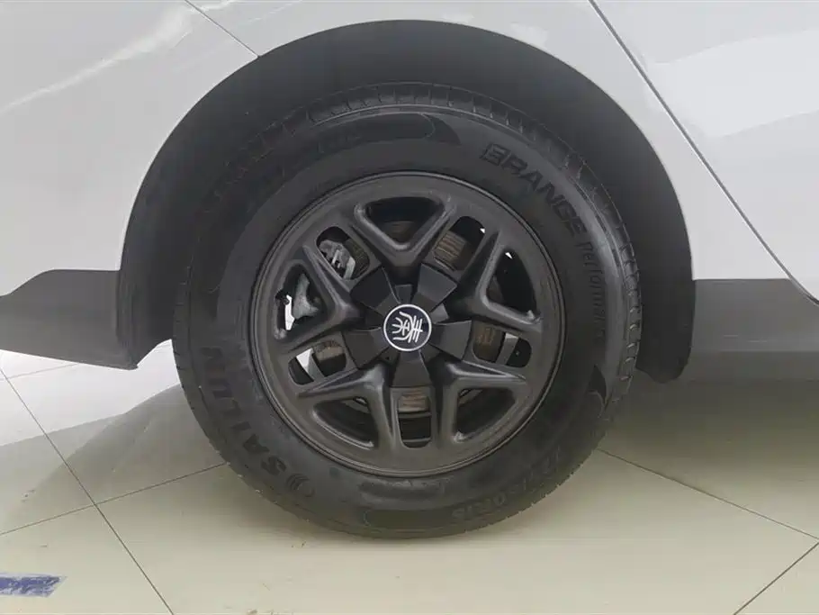 BYD Qin PLUS 2025 DM-i Smart Drive 55KM Leader фото 6