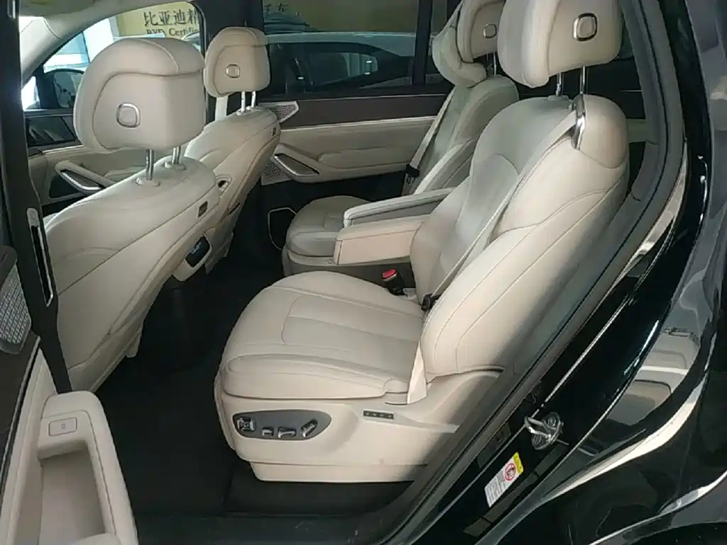 Denza N9 2025 2025 Flagship Model