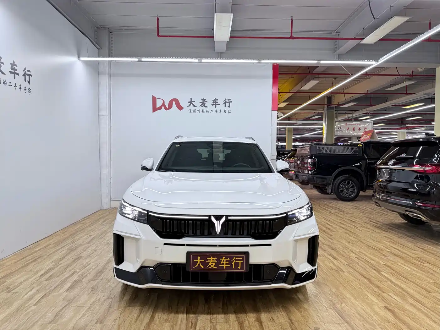 Voyah Auto VOYAH FREE 2025 318 318km RWD Touring Edition фото 2