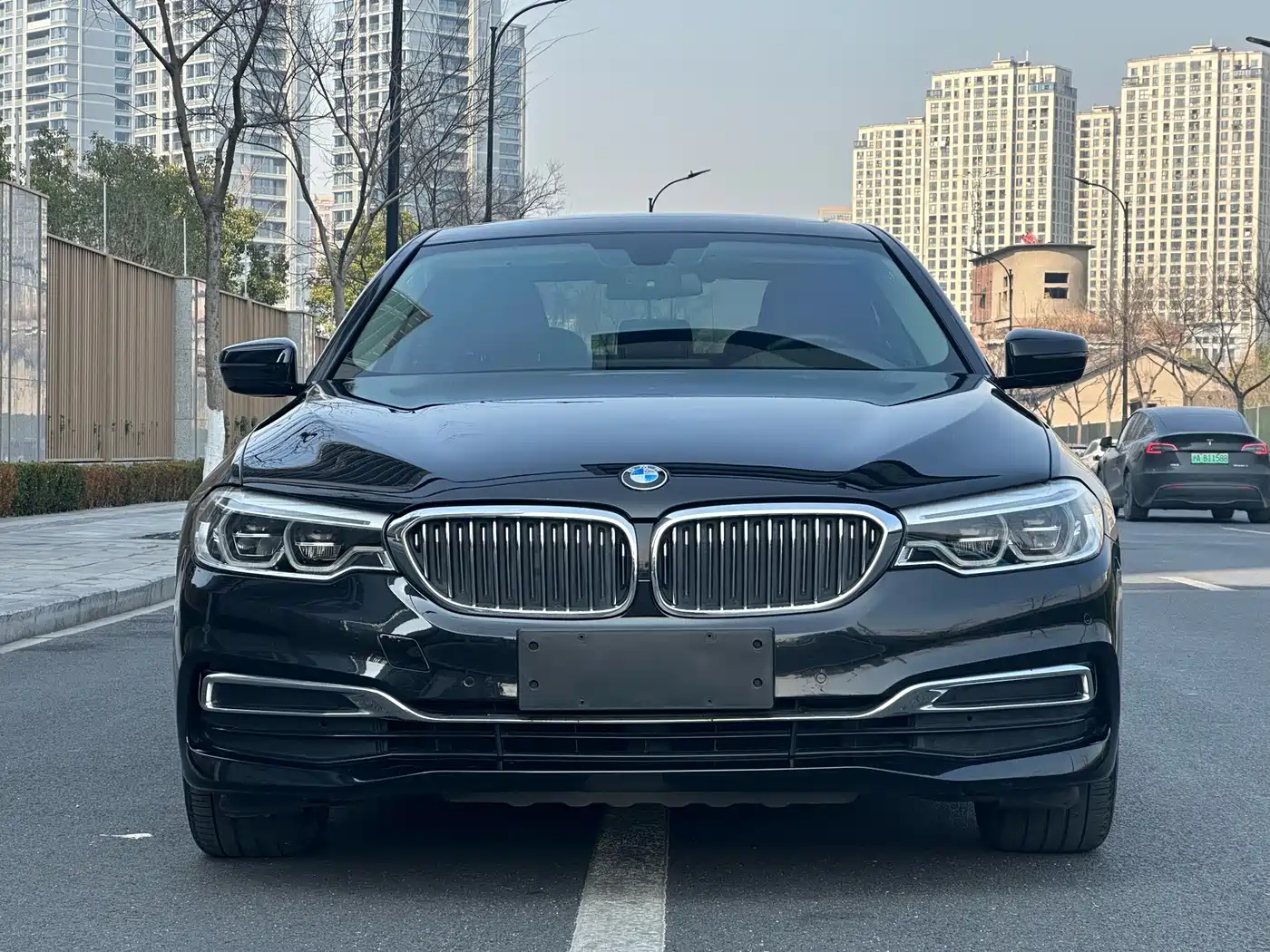 BMW 5 Series 2020 530Li Leading Luxury Package фото 2