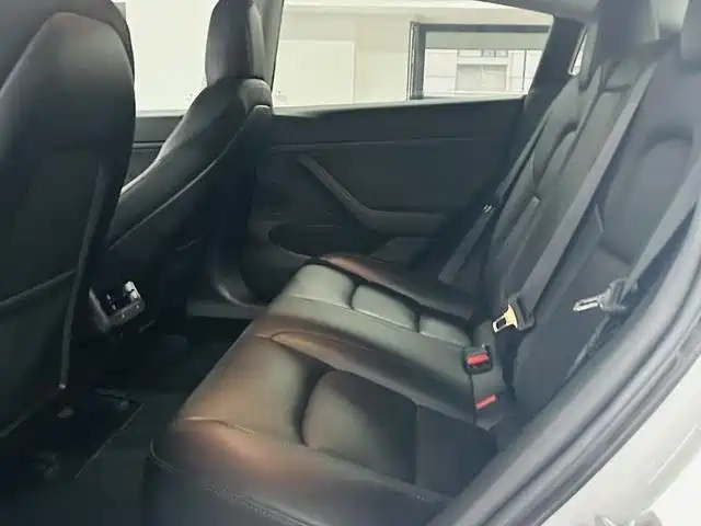 Tesla Model 3 (Import) 2019 2019 Long Range RWD Version