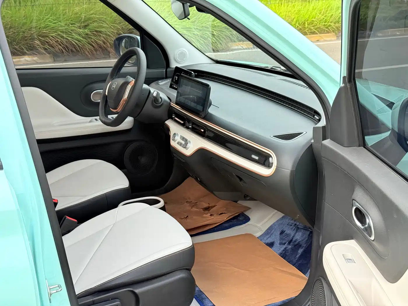 QQ New Energy Duomi 2025 2025 305km Comfort Edition