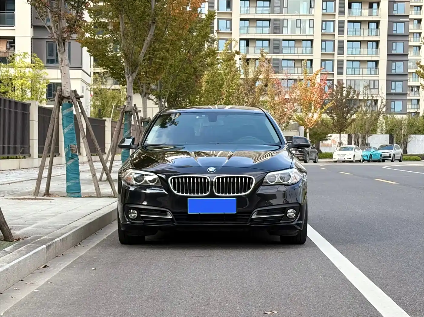 BMW 5 Series 2017 525Li Leading Edition фото 2