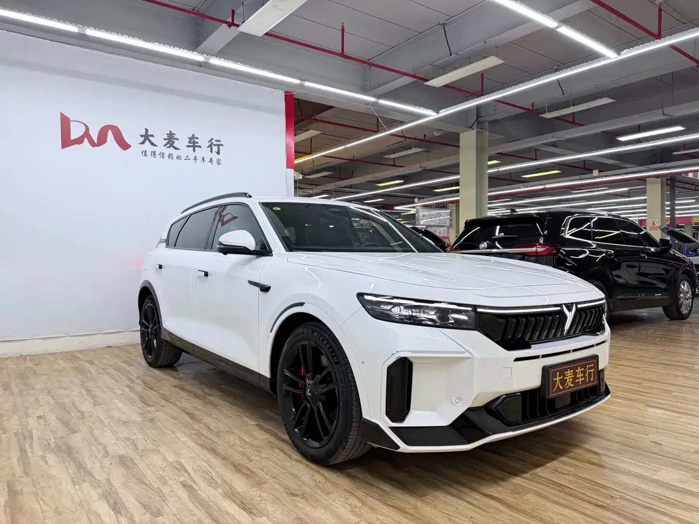 Voyah Auto VOYAH FREE 2025 318 318km RWD Touring Edition фото 3