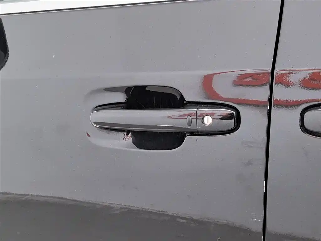 SAIC MAXUS CHASE G20