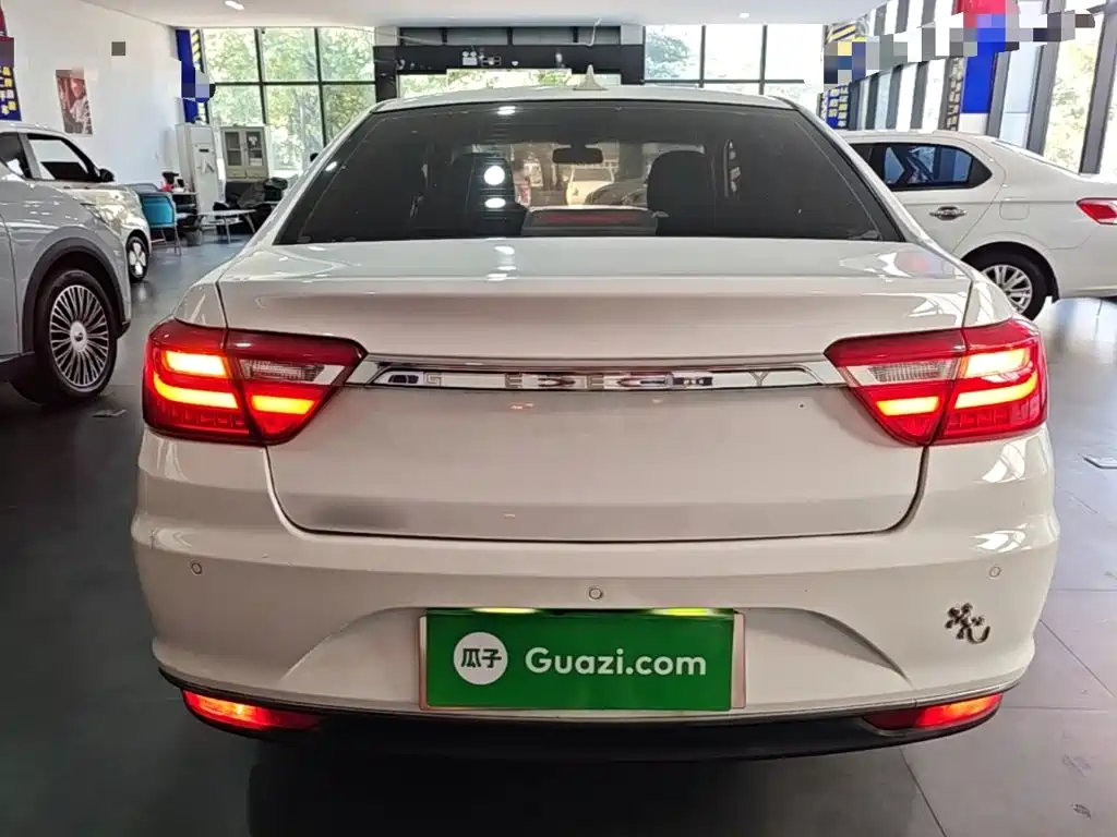 Фото 6 - Geely Vision