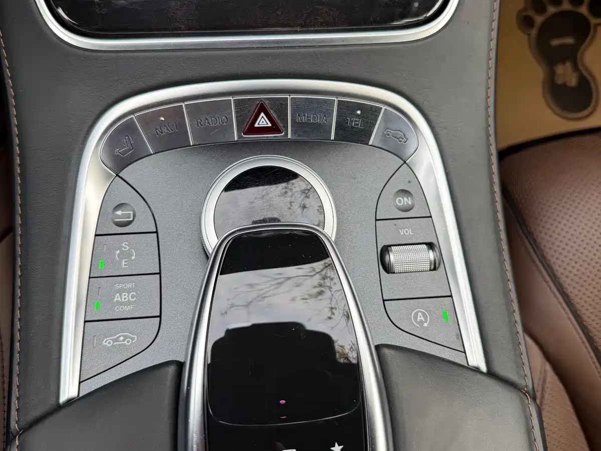 Mercedes-Benz S-Class 2014 S 600 L фото 12