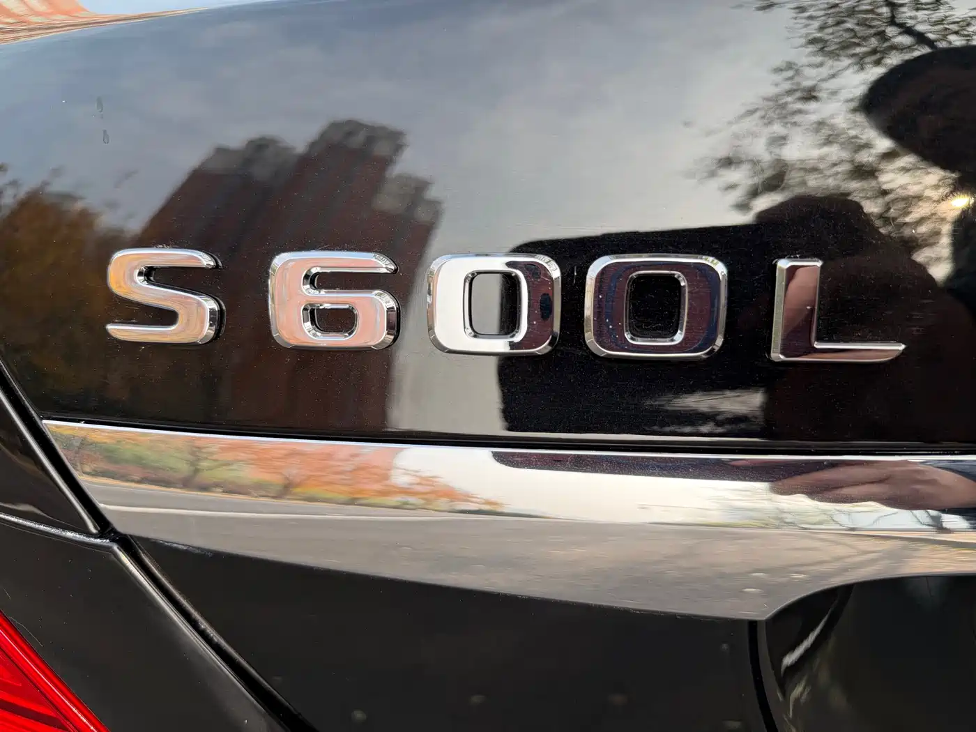 Mercedes-Benz S-Class 2014 S 600 L фото 19