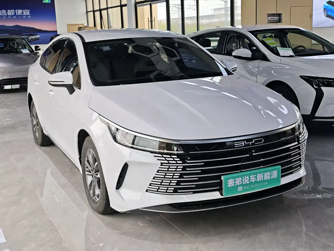 BYD DESTROYER 05
