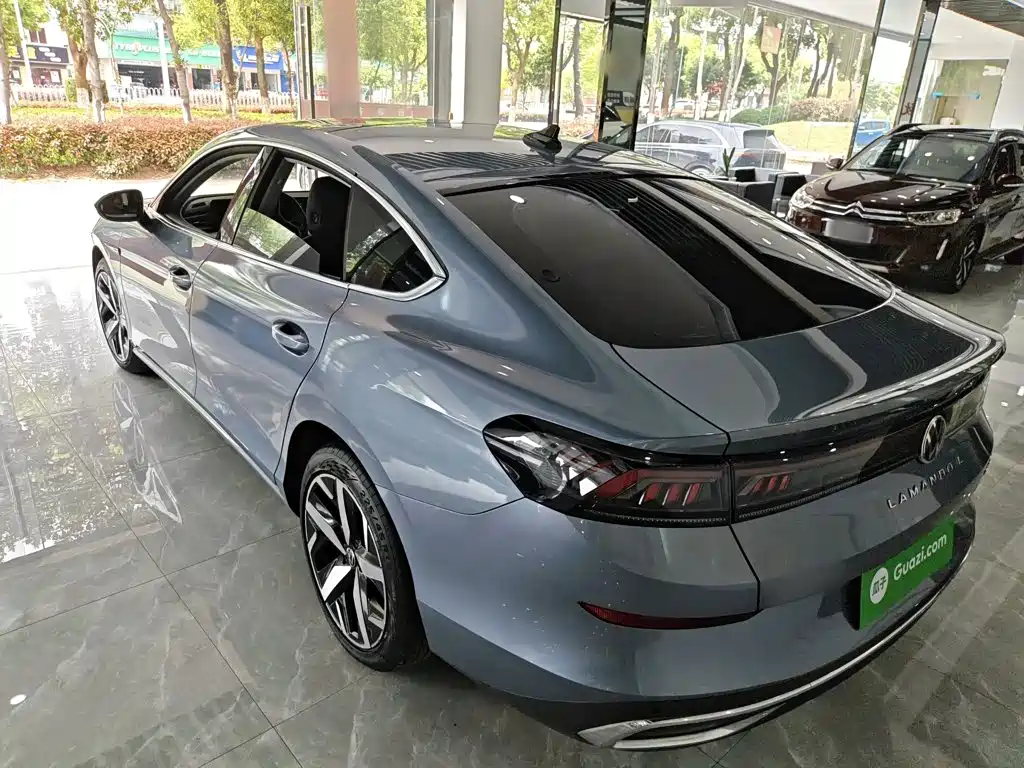Volkswagen Lamando, миниатюра 23