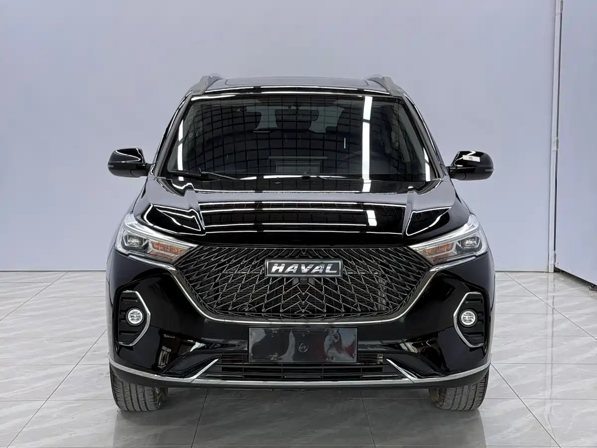 Haval M6 2023 PLUS 1.5T DCT Luxury Smart Connect фото 2