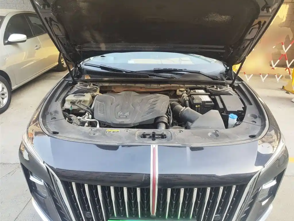 Hongqi H5 2023 1.5T DCT Smart Connect Flag Rhythm фото 11