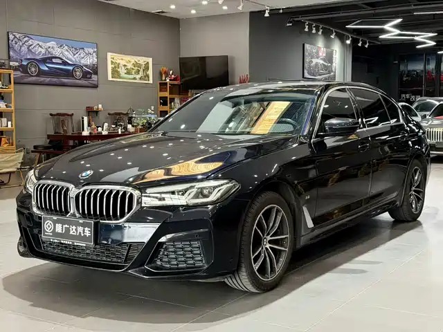 BMW 5 SERIES