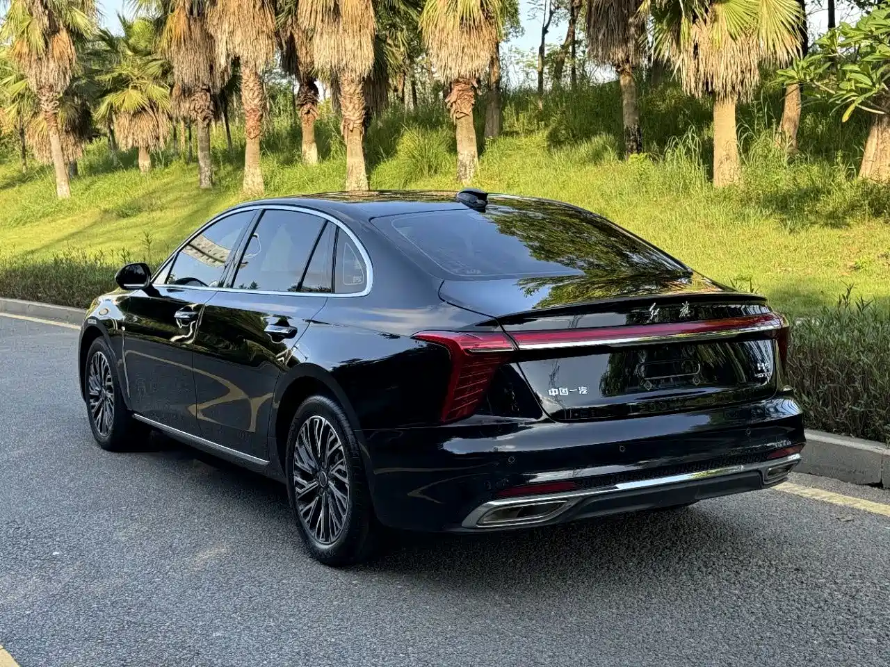 صورة 14 - Hongqi H5