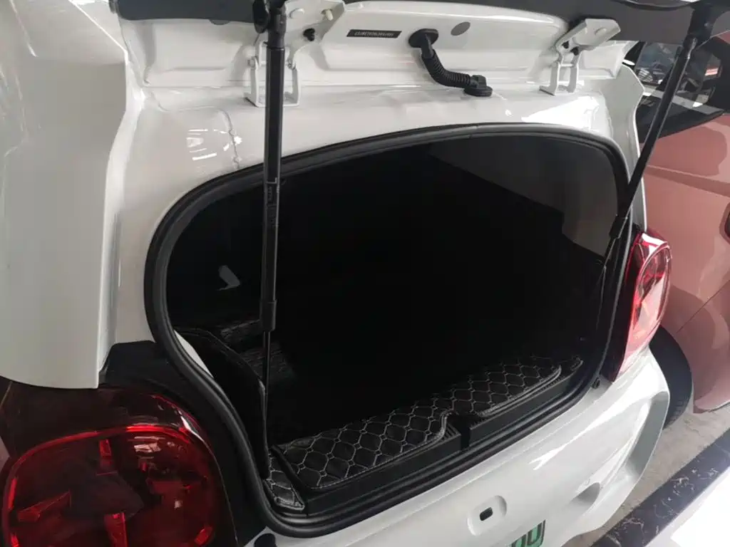 Roewe Kaiwei CLEVER 2020 2021 302km All-round Edition