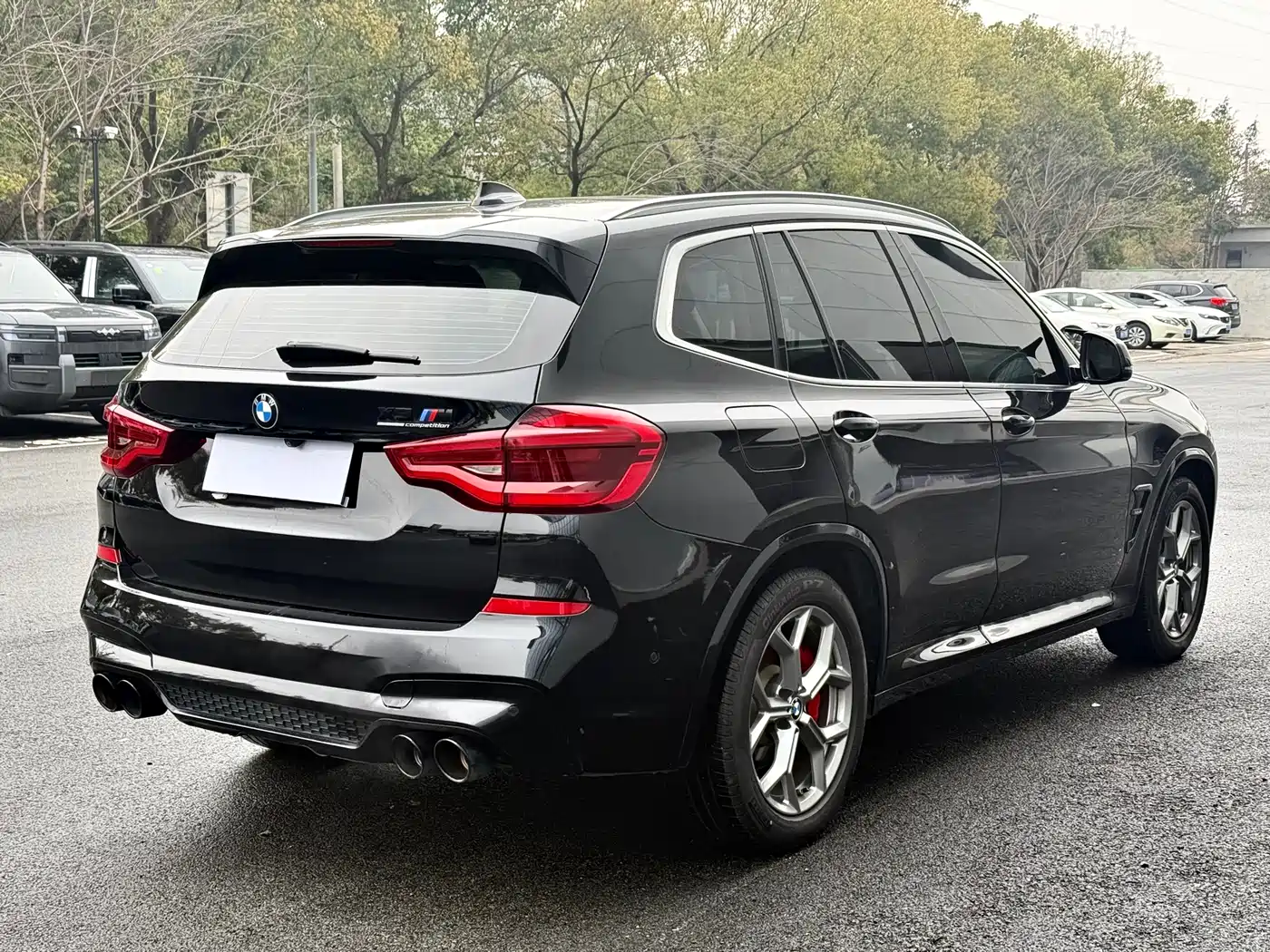 BMW X3 2021 xDrive25i Luxury Package фото 18