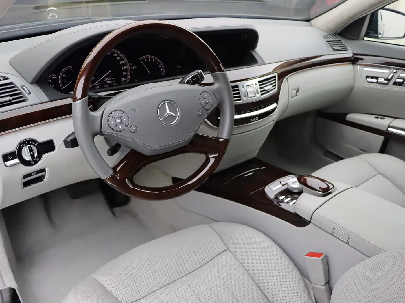 Mercedes-Benz S-Class 2010 S 600 L фото 6