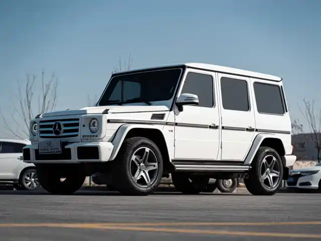 MERCEDES-BENZ G CLASS
