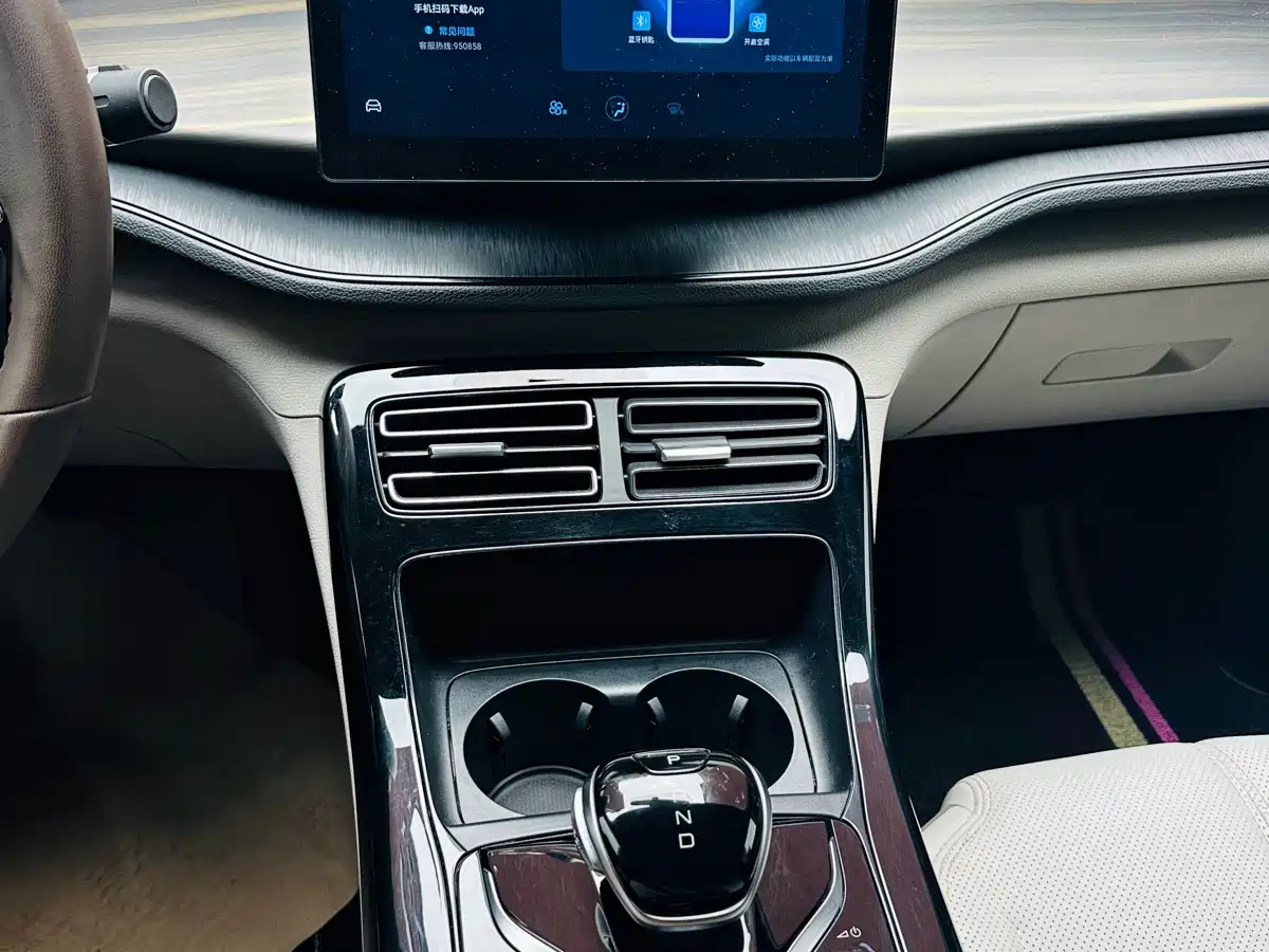 BYD Qin PLUS 2024 Glory Edition DM-i 55KM Leading фото 11