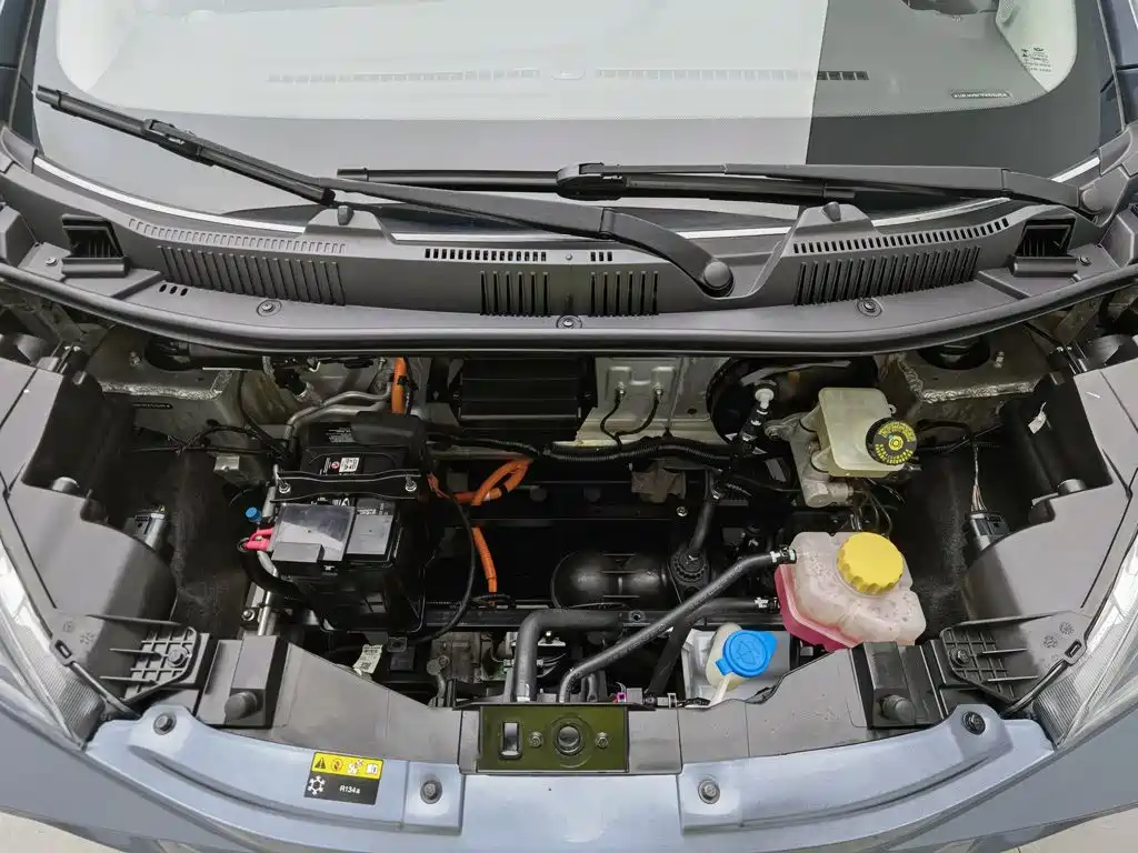 QQ New Energy Little Ant 2023 2023 251km True Love Edition LFP