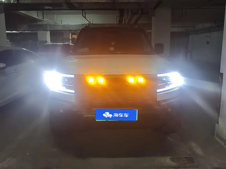 FANG CHENG BAO LEOPARD 5