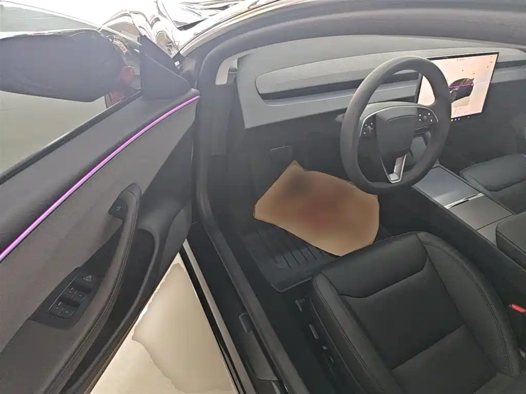 Tesla Model 3 2025 2025 Model Rear-Wheel Drive Edition