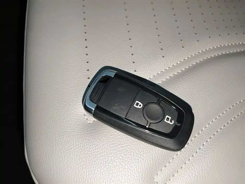 FORD RUIJI